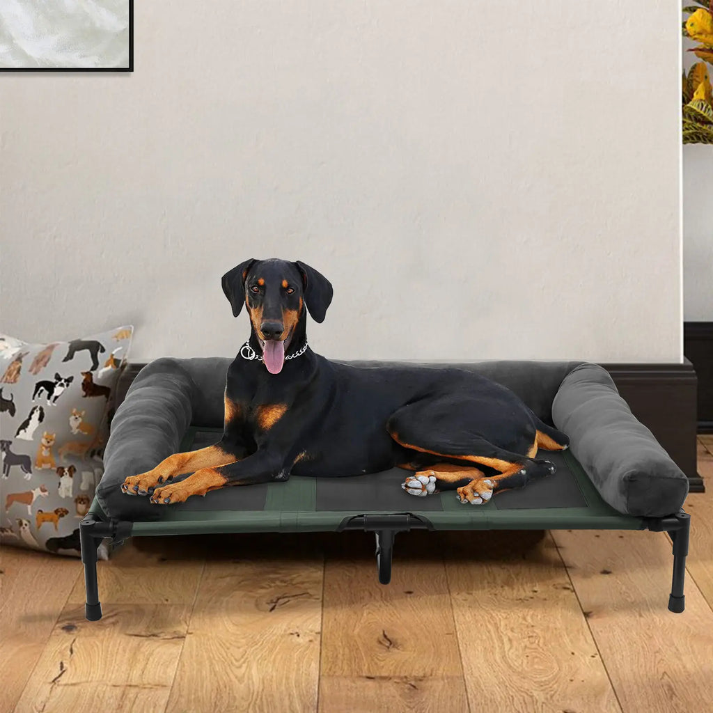 Elevated Breathable Mesh Bed - Dog