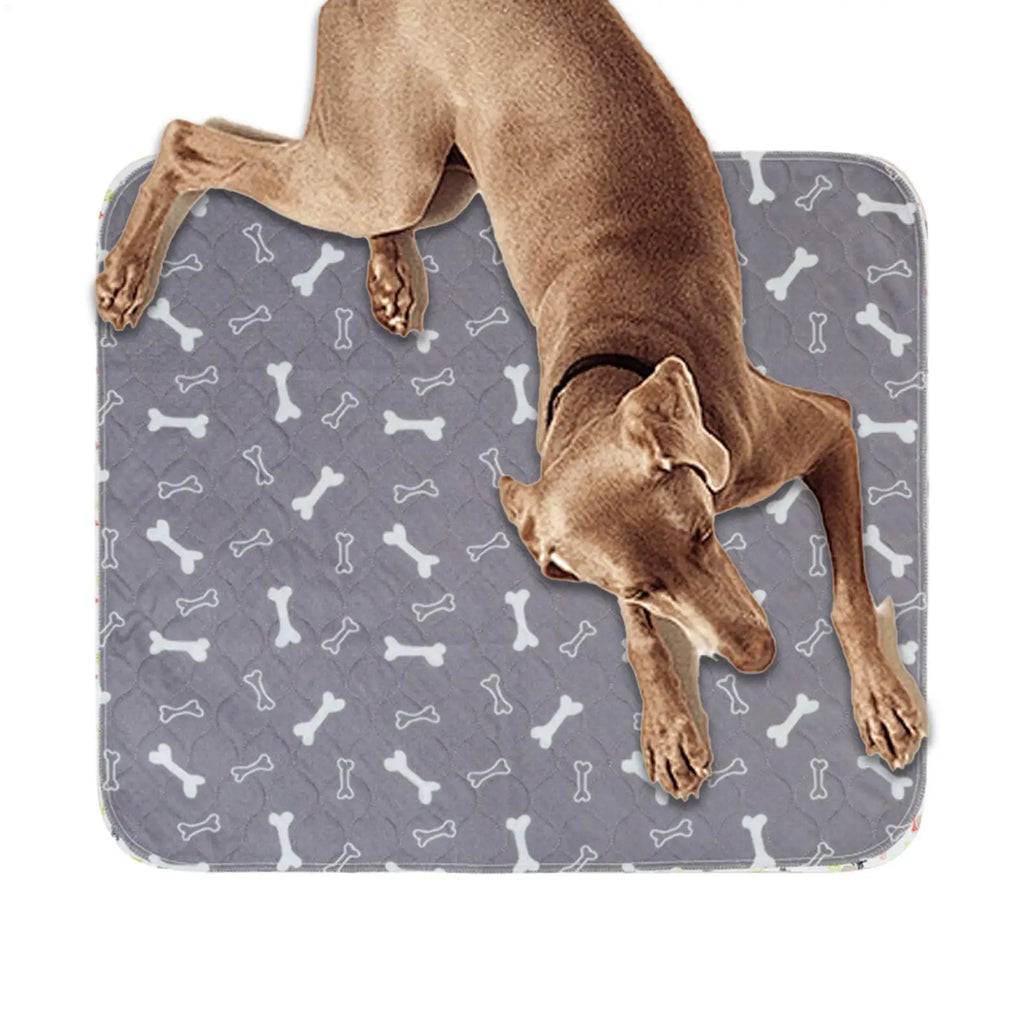 Potty Training Mat - Dog  - (Leak-Proof) - (3 Color Options) - (While Supplies Last)