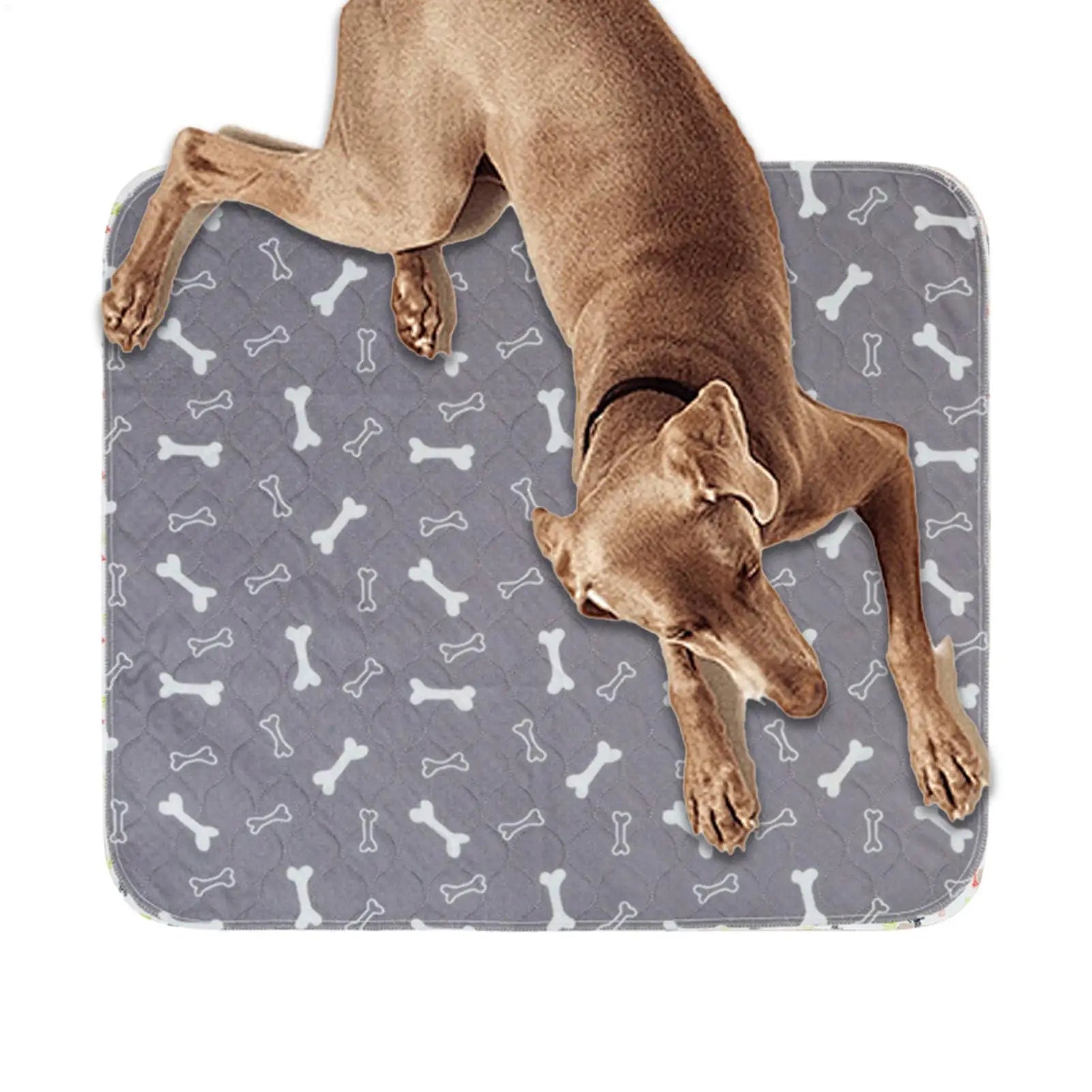 Potty Training Mat - Dog  - (Leak-Proof) - (3 Color Options) - (While Supplies Last)