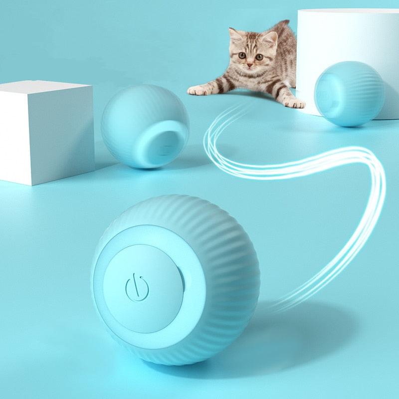 Smart Rolling Silicone Toy Ball - Cat - (Pink, Blue)