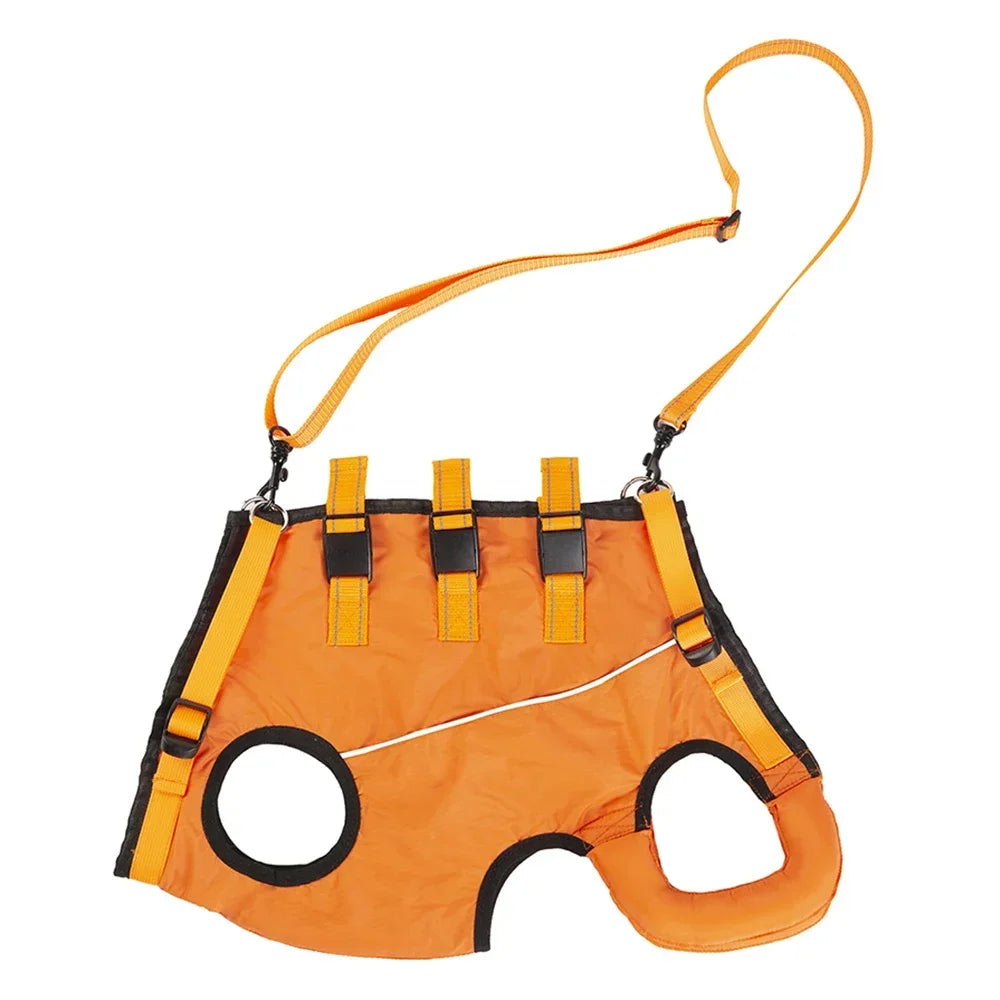 Disabled Elderly Dog Exercise Assist Belt - (XS -XL) (8 Color/Style Options)