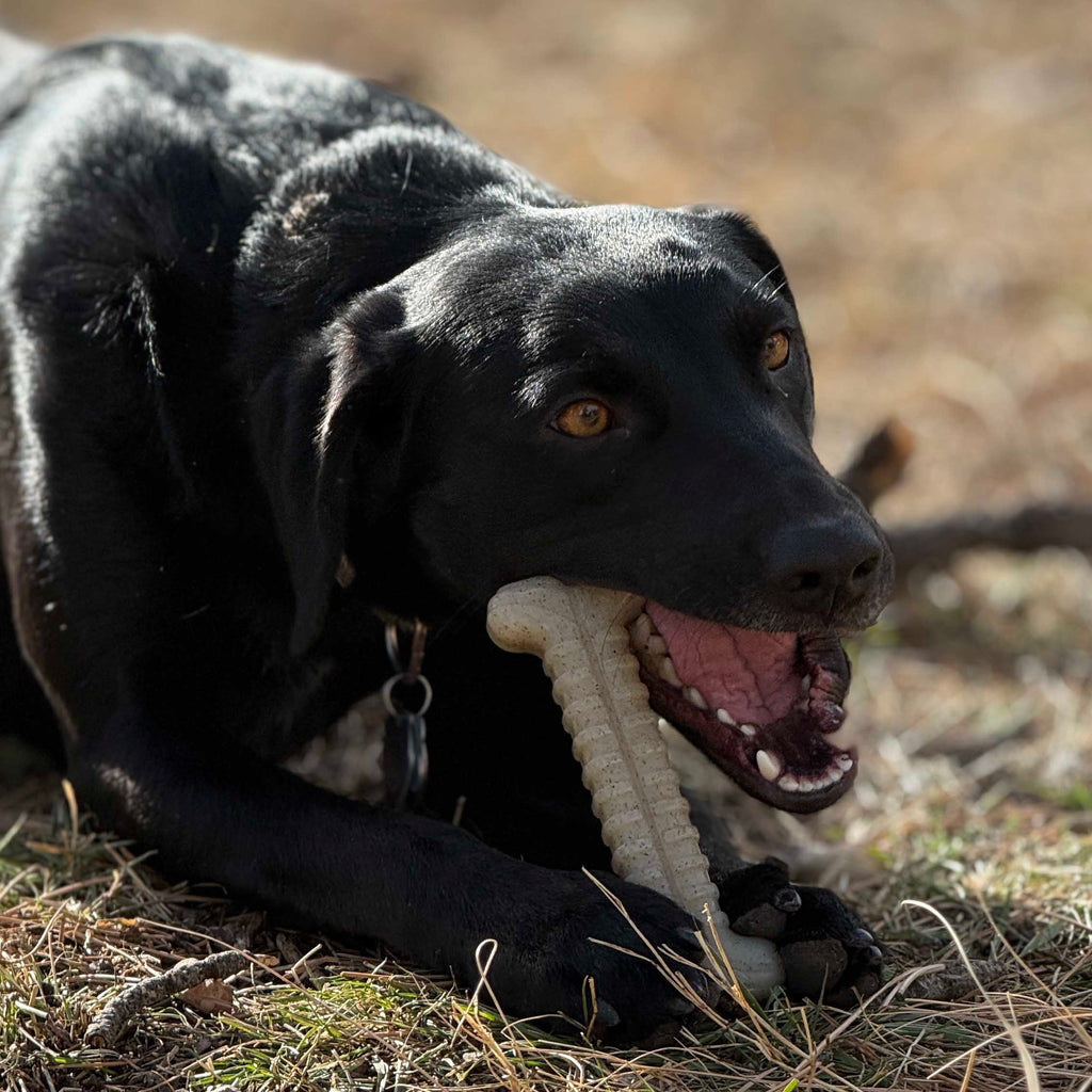 Nylon Chew Bone - Dog - (|Aggressive Chewers ) - (Tough Bone Brown) - (SodaPup)