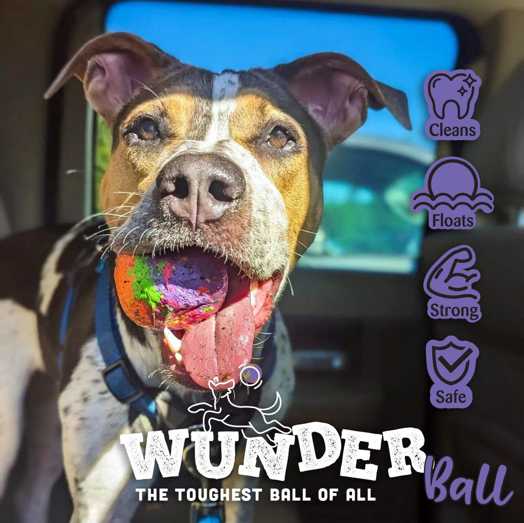 Fetch Toy Reinvented - Dog - (WUNDERball) - (5 Color Options) - (S-XL) - (While Supplies Last)