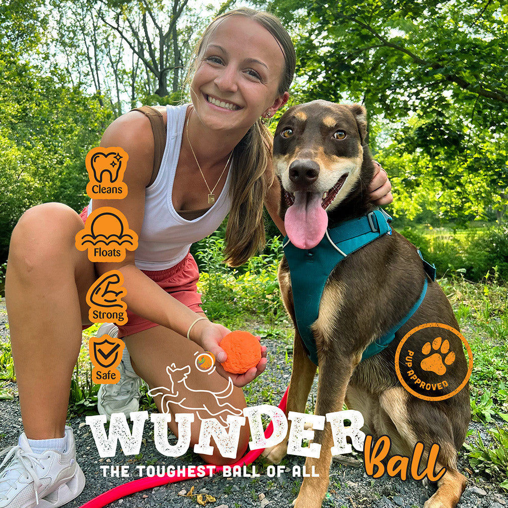 Fetch Toy Reinvented - Dog - (WUNDERball) - (5 Color Options) - (S-XL) - (While Supplies Last)