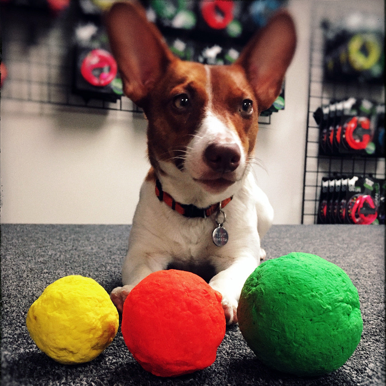 Fetch Toy Reinvented - Dog - (WUNDERball) - (5 Color Options) - (S-XL) - (While Supplies Last)