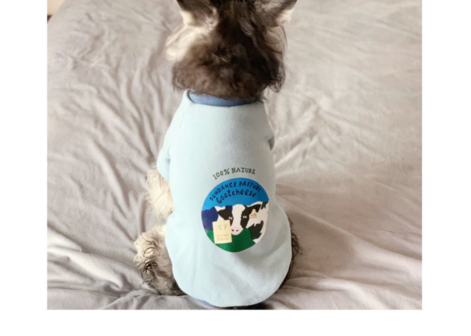 Cozy Casual Sweater - Dog Cat - (3 Color Options) - (XS-4XL)