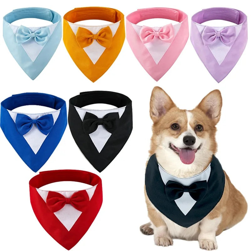 Triangle Bib Scarf with Bow Tie Collar - Dog - (8 Color Options) - (XS-L)