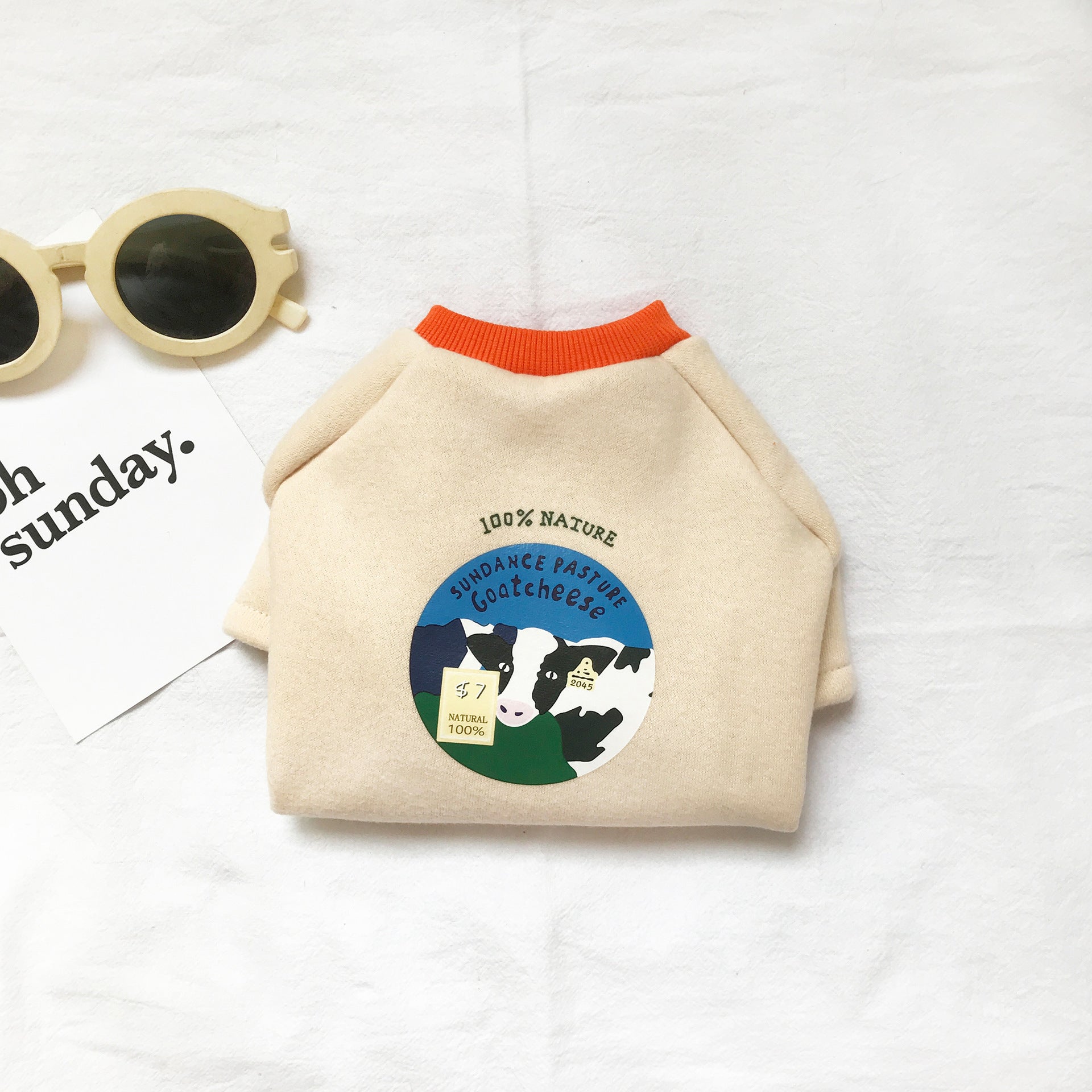 Cozy Casual Sweater - Dog Cat - (3 Color Options) - (XS-4XL)