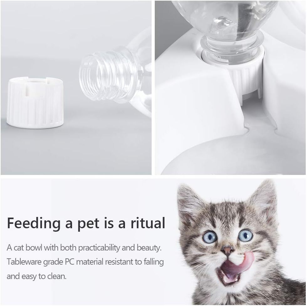 Tilted Water & Food Bowls with Automatic Water Dispenser on White Base - Cat - (Clear)