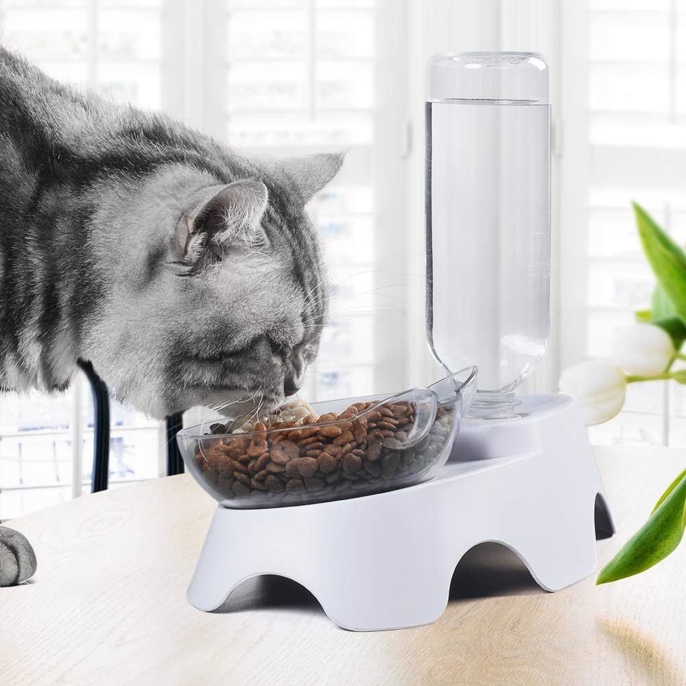 Tilted Water & Food Bowls with Automatic Water Dispenser on White Base - Cat - (Clear)
