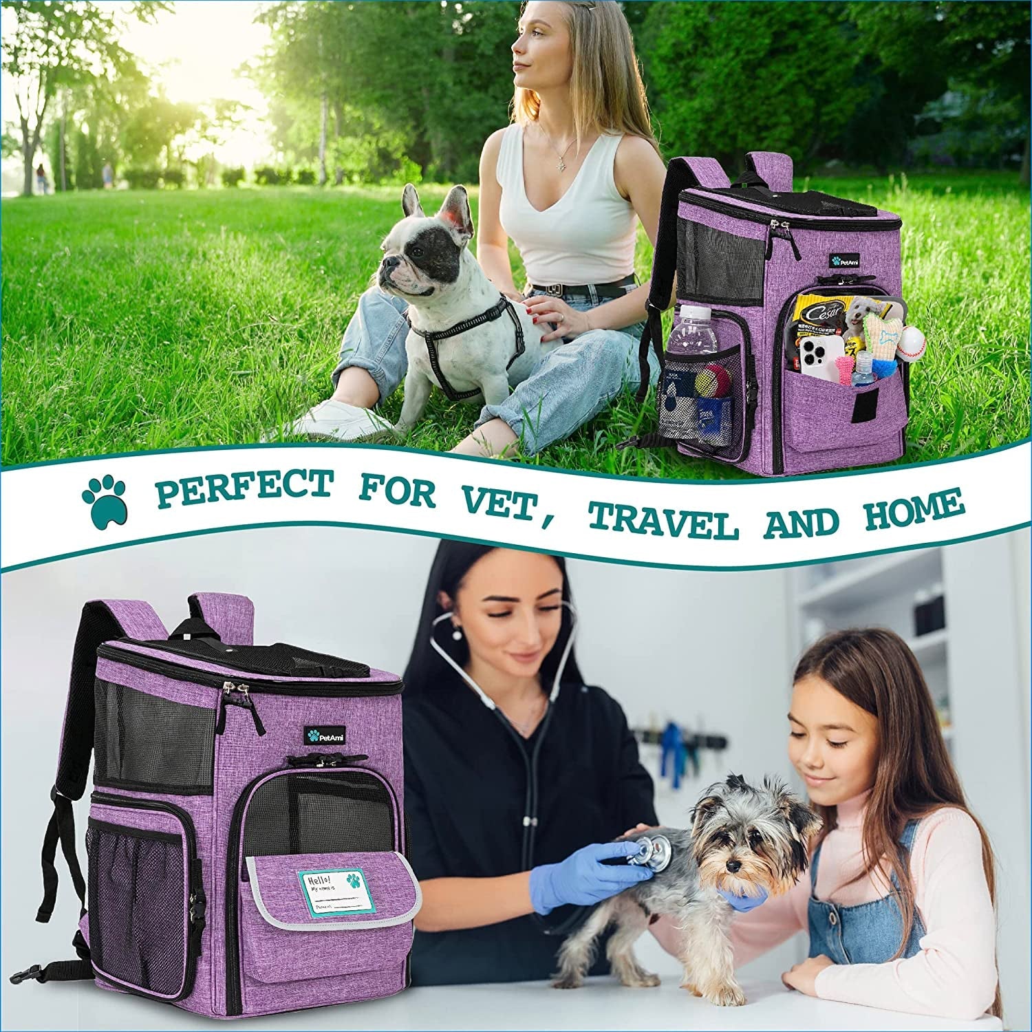 Airline Approved Pet Carrier Backpack  - Dog Cat - (Black+Purple) - (One Size: 16.5 x 12.5 x 12 inches) - (PetAmi) - (While Supplies Last)