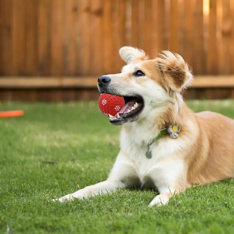 Interactive Dog Cat Chewing Toy Balls
