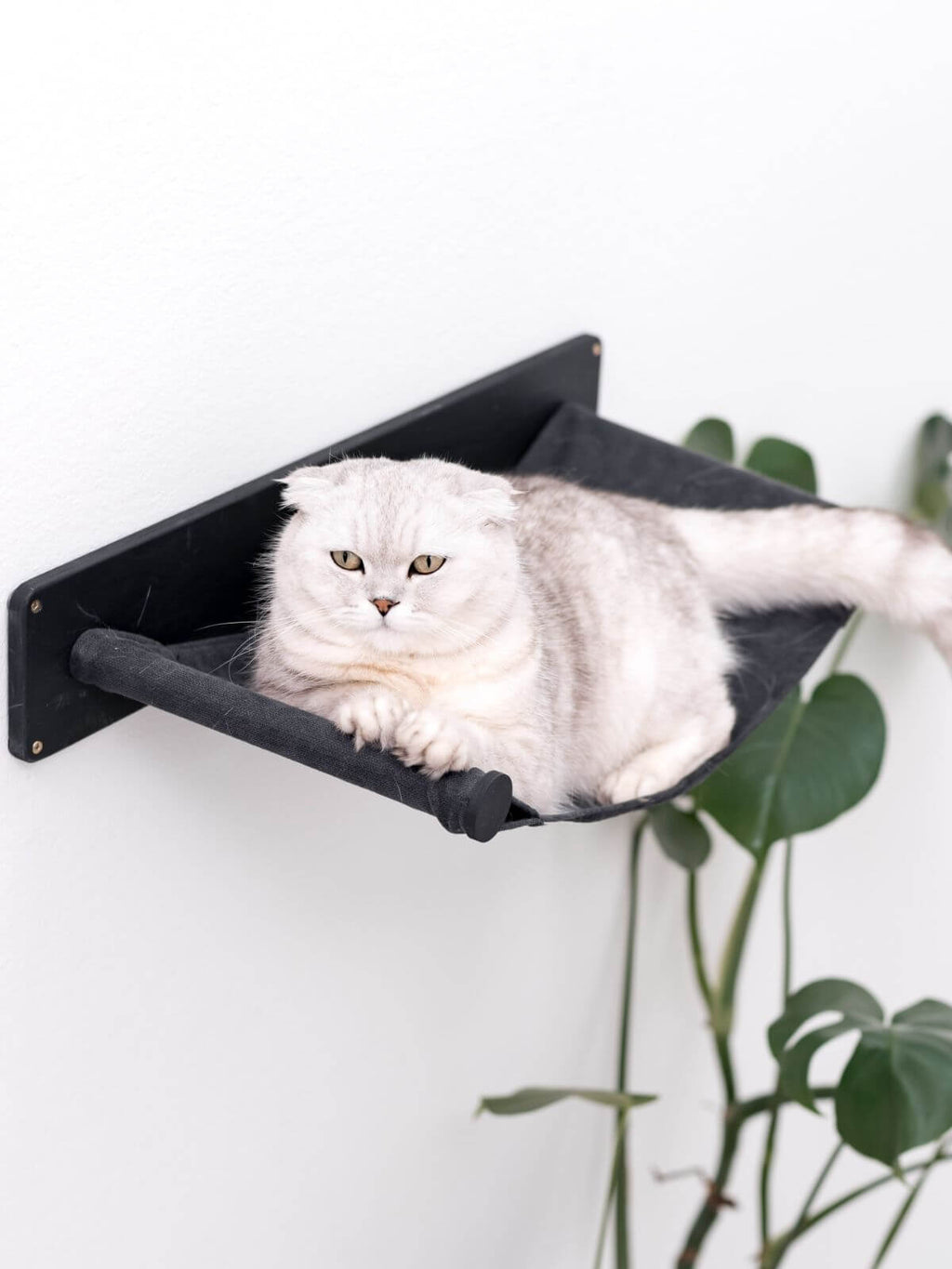 Wall Mounted Shelf Hammock - Cat