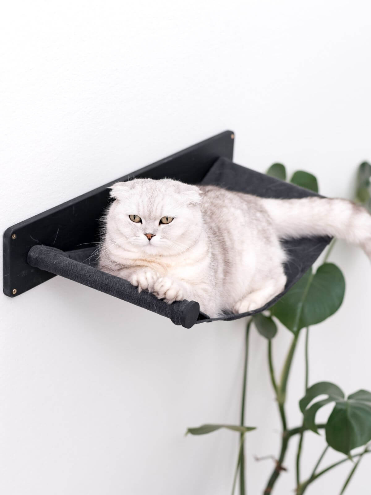 Wall Mounted Shelf Hammock - Cat