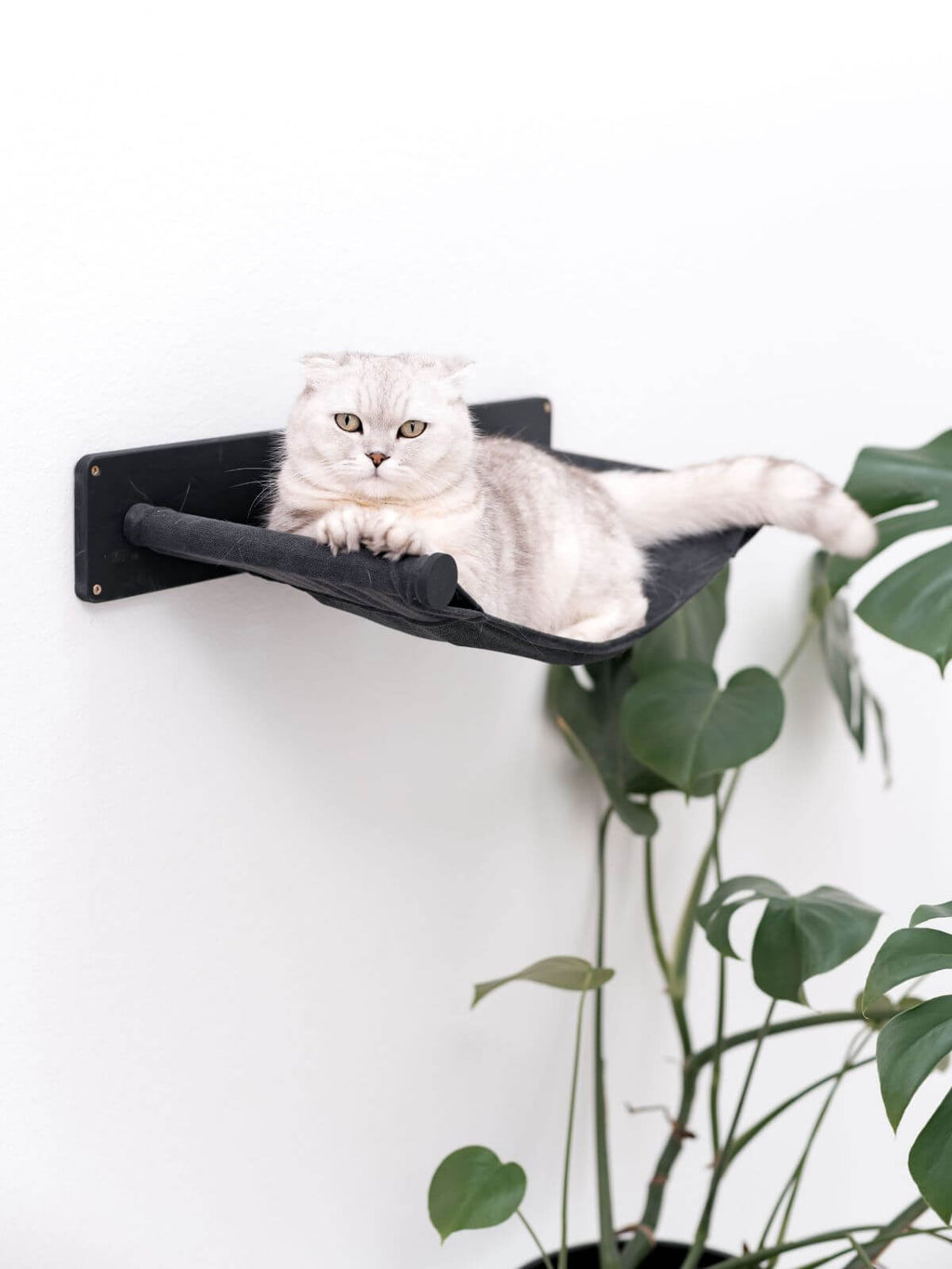 Wall Mounted Shelf Hammock - Cat