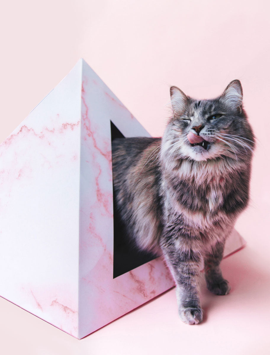 Cozy and Dark 'Rose Quartz' Kardboard Pyramid - Cat
