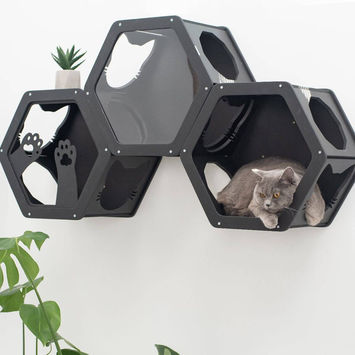 Wall Mounted Cat Cut Out Shelf or Shelves - Cat - ( Black) - (1,2 or 3 Shelf Options) - (While Supplies Last)