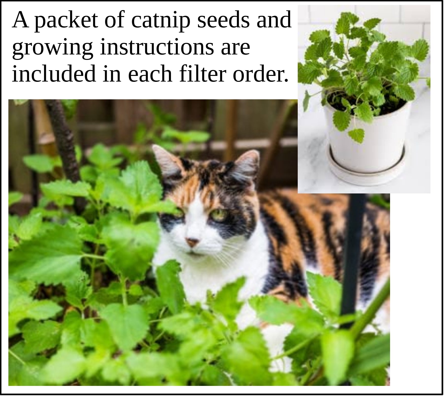 Quiet Fan Litter Box Air Filter - Cat - (Purrified Air...) - Multiple Units Available  - (While Supplies Last)
