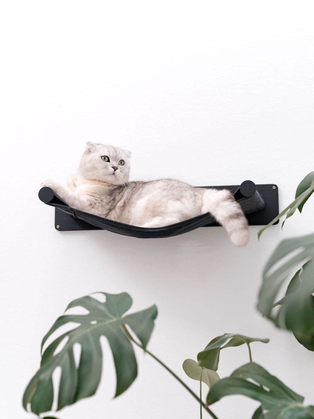 Wall Mounted Shelf Hammock - Cat