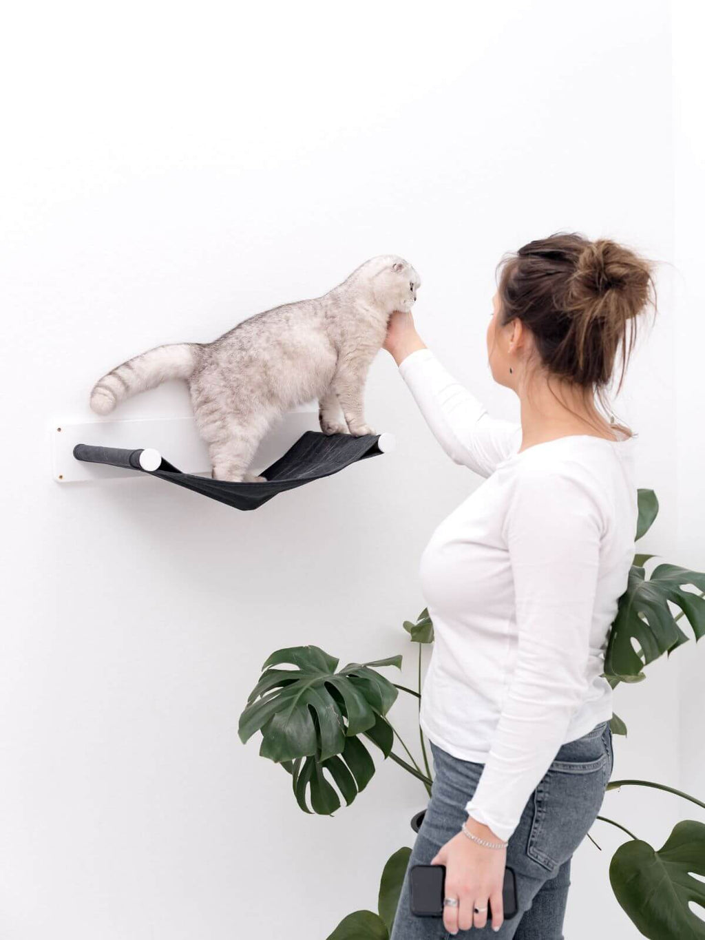 Wall Mounted Shelf Hammock - Cat