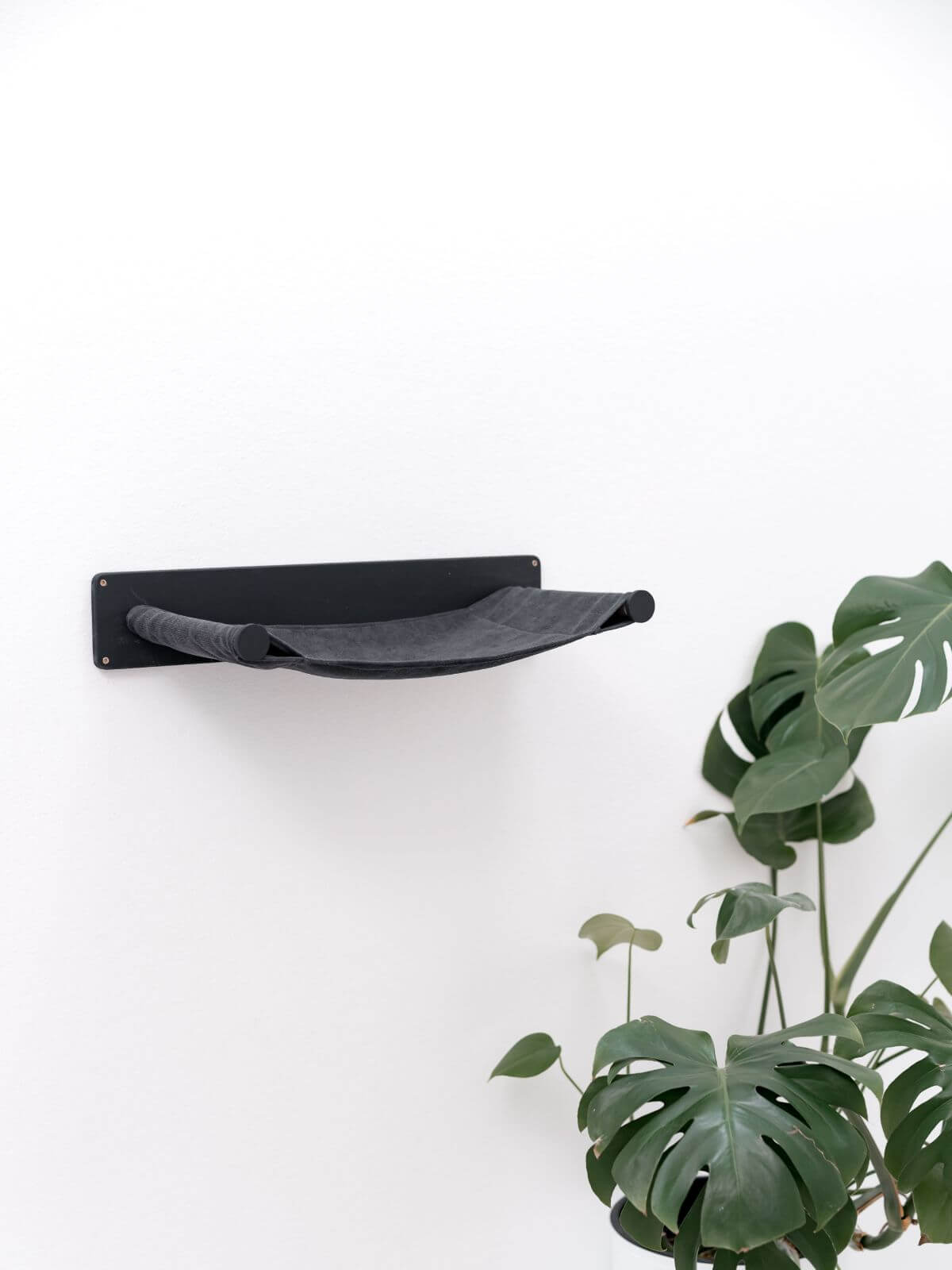 Wall Mounted Shelf Hammock - Cat