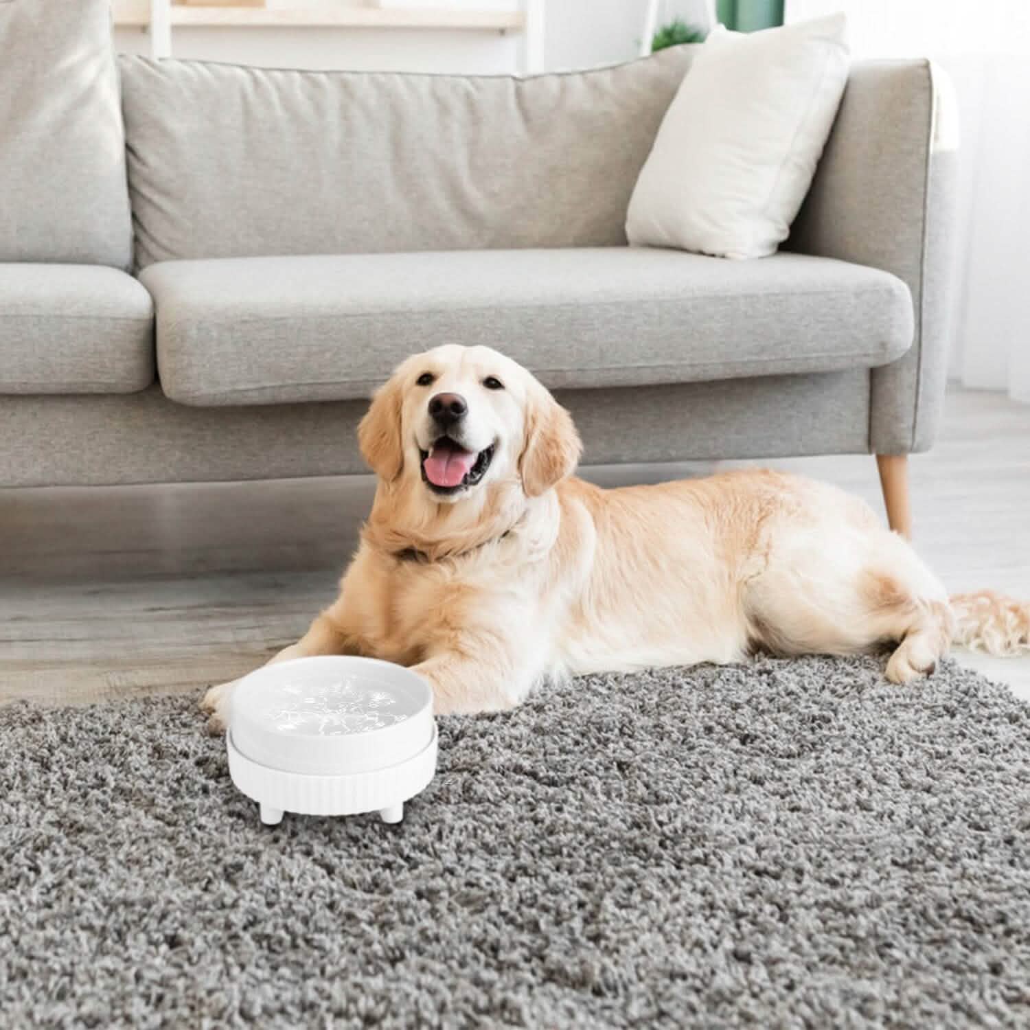 Ceramic Food Warmer and Water Bowl - Dog Cat - (White) - (2 Style Options) - (While Supplies Last)