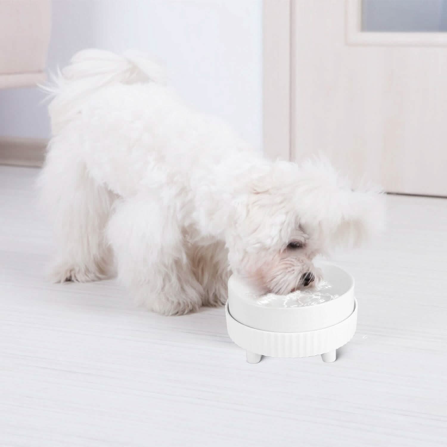 Ceramic Food Warmer and Water Bowl - Dog Cat - (White) - (2 Style Options) - (While Supplies Last)