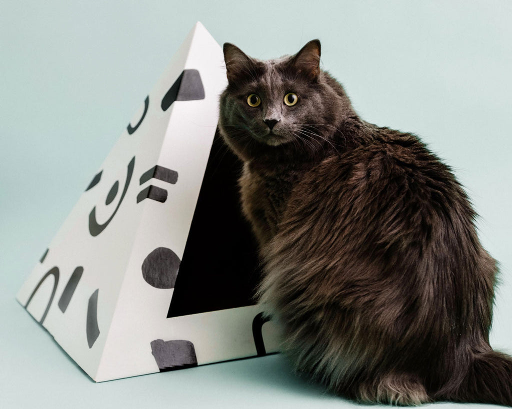 Cozy and Dark 'Doodle' Kardboard Pyramid - Cat