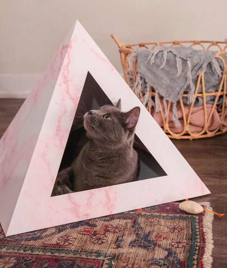 Cozy and Dark 'Rose Quartz' Kardboard Pyramid - Cat