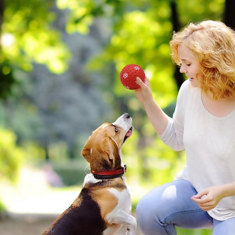 Interactive Dog Cat Chewing Toy Balls
