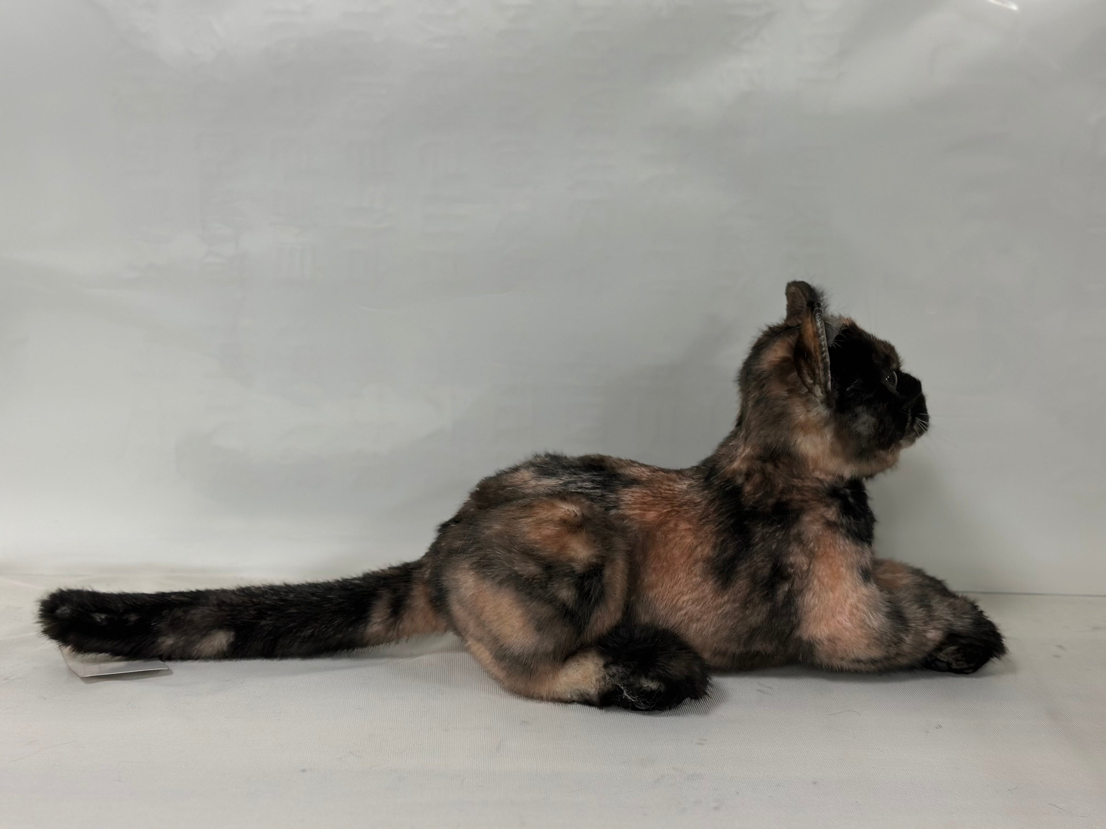 Realistic Shorthair Tortoiseshell Plush Cat Companion - Child, Adult - (Brown)