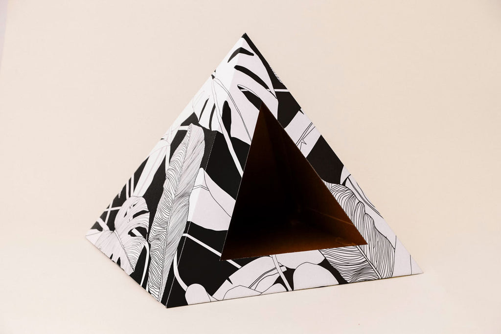 Cozy and 'Dark Paradise' Kardboard Pyramid - Cat