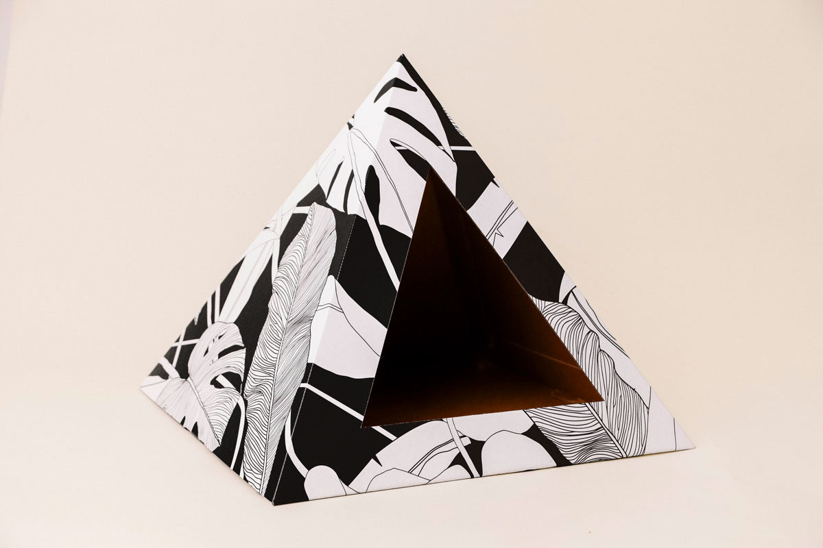 Cozy and 'Dark Paradise' Kardboard Pyramid - Cat