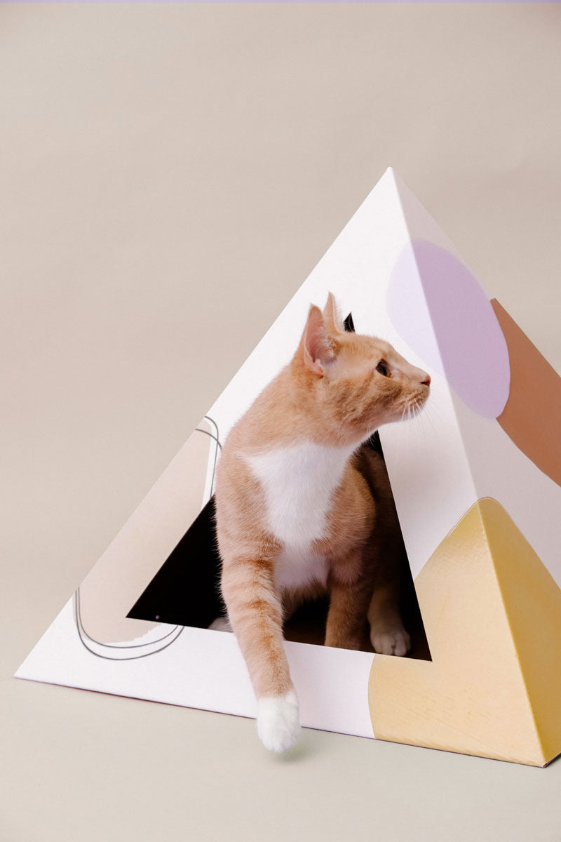 Cozy and Dark 'Abstract' Kardboard Pyramid - Cat