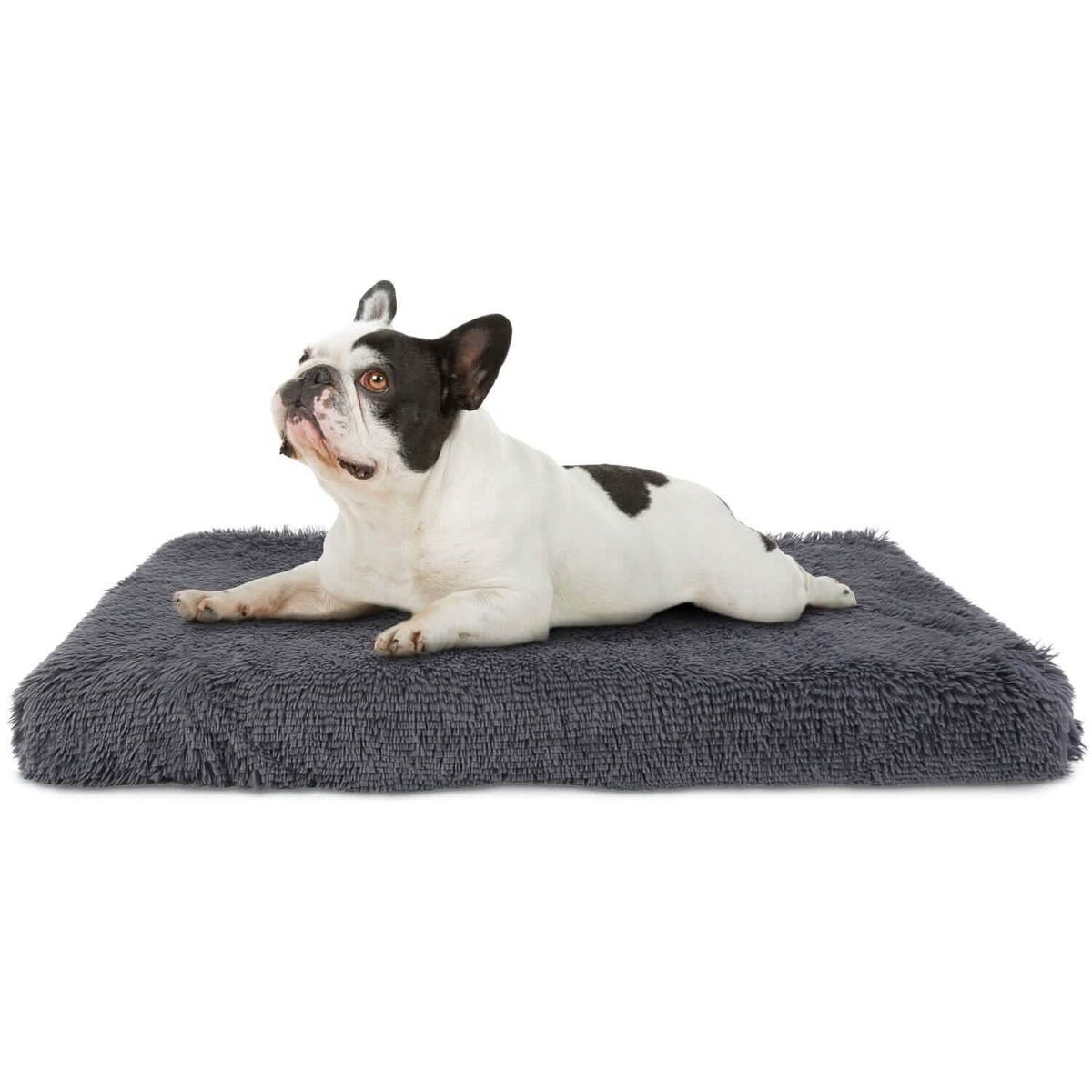 Cozy Plush Cushion or Warm Crate Bed - Dog - (Crate Mat)  - (Grey) - (S-XL) - (USA) - (While Supplies Last)