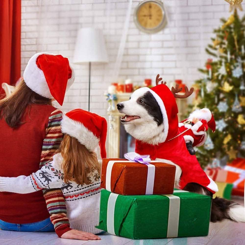 Christmas Costume Vest: Santa Riding on Pets Back - Dog - (S-XL)