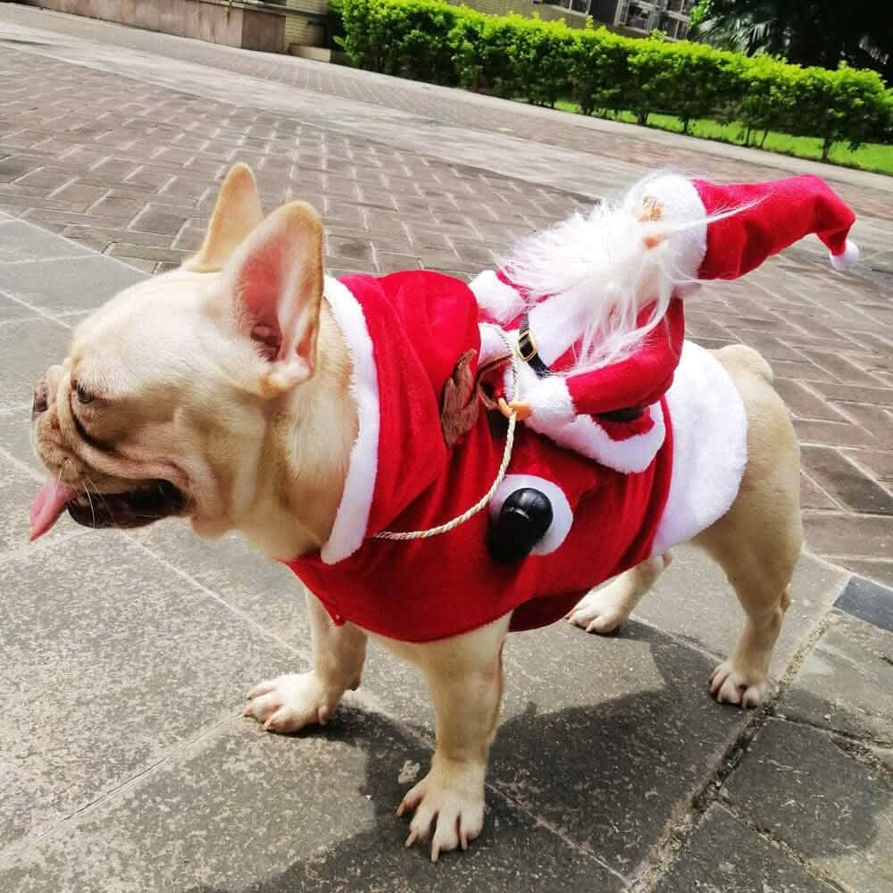 Christmas Costume Vest: Santa Riding on Pets Back - Dog - (S-XL)