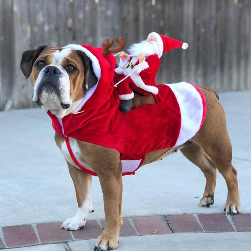 Christmas Costume Vest: Santa Riding on Pets Back - Dog - (S-XL)