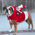 Christmas Costume Vest: Santa Riding on Pets Back - Dog - (S-XL)