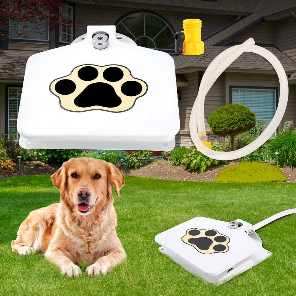 Interactive Dog Water Fountain Toy