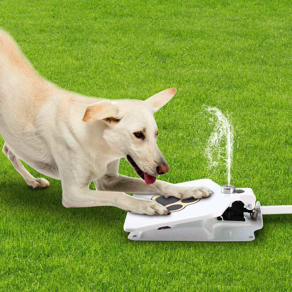 Interactive Dog Water Fountain Toy