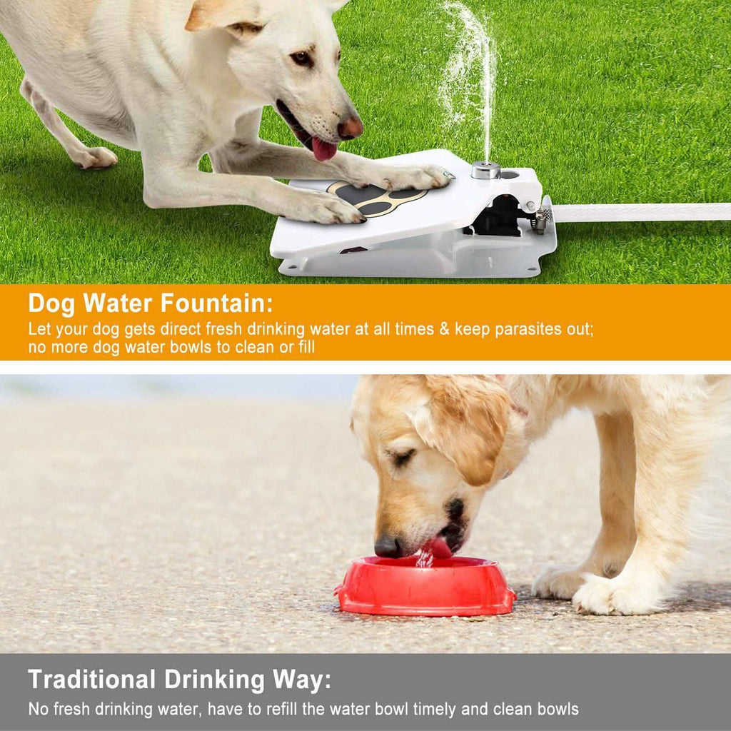 Interactive Dog Water Fountain Toy