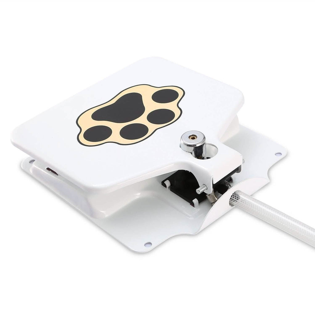 Interactive Dog Water Fountain Toy