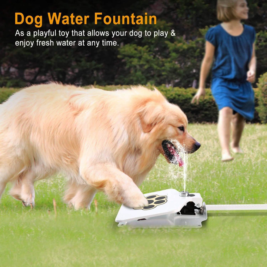 Interactive Dog Water Fountain Toy