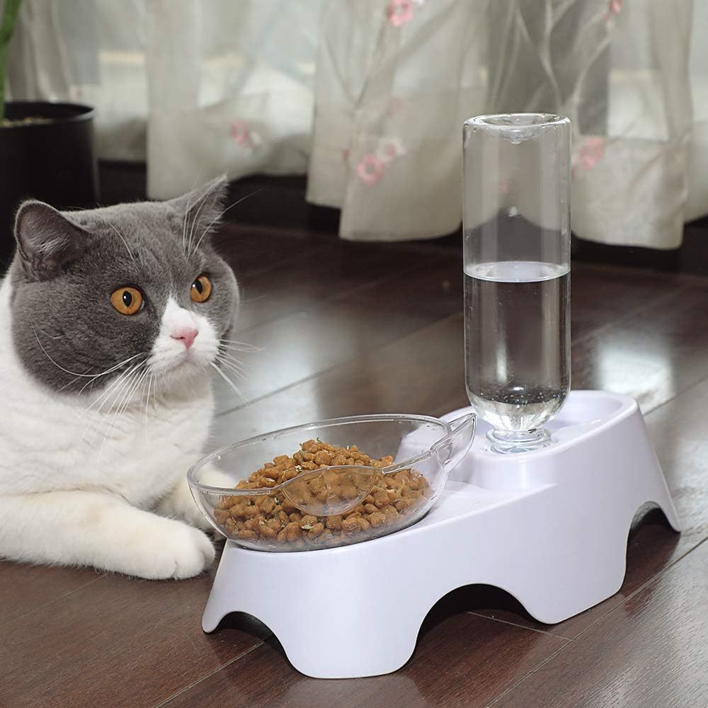 Tilted Water & Food Bowls with Automatic Water Dispenser on White Base - Cat - (Clear)