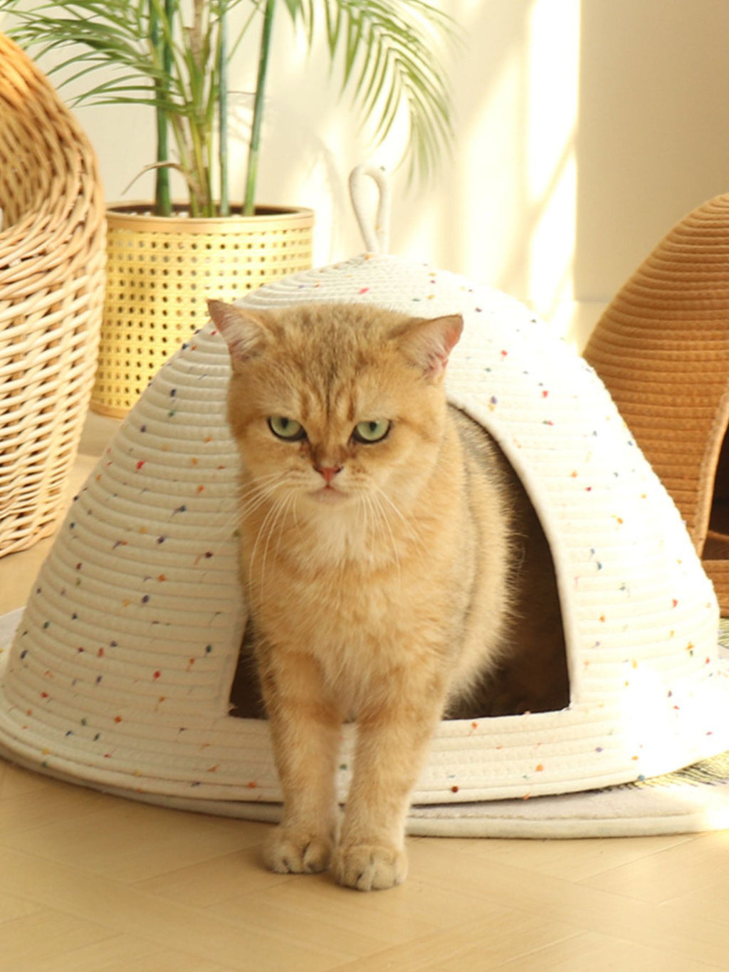Cozy Rope Woven Cave Bed with Handle - Cat - (3 Color Options) - (S, L) - (While Supplies Last)