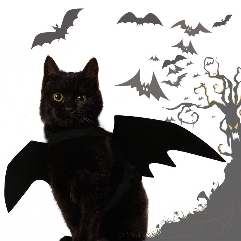 Halloween Bat Costume - Dog Cat - (S-L and Adjustable) - (Black)