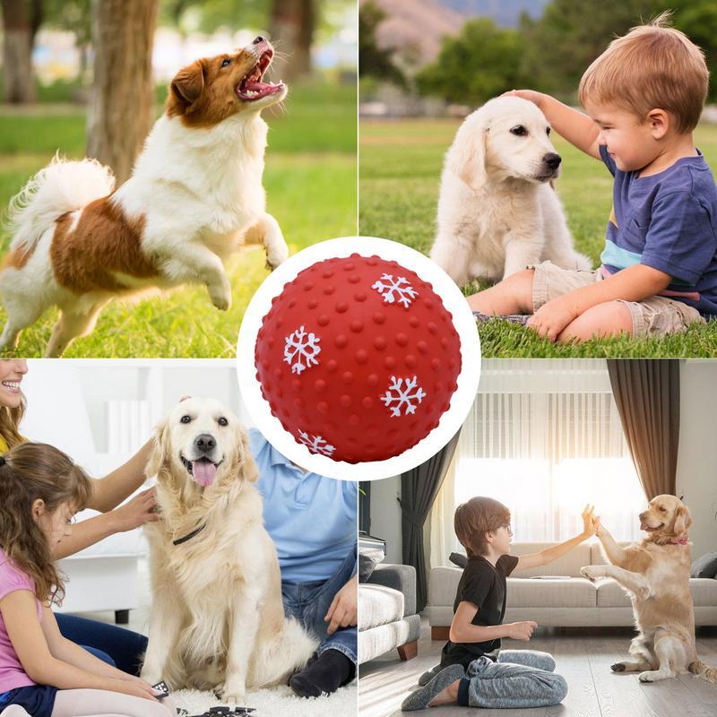 Interactive Dog Cat Chewing Toy Balls