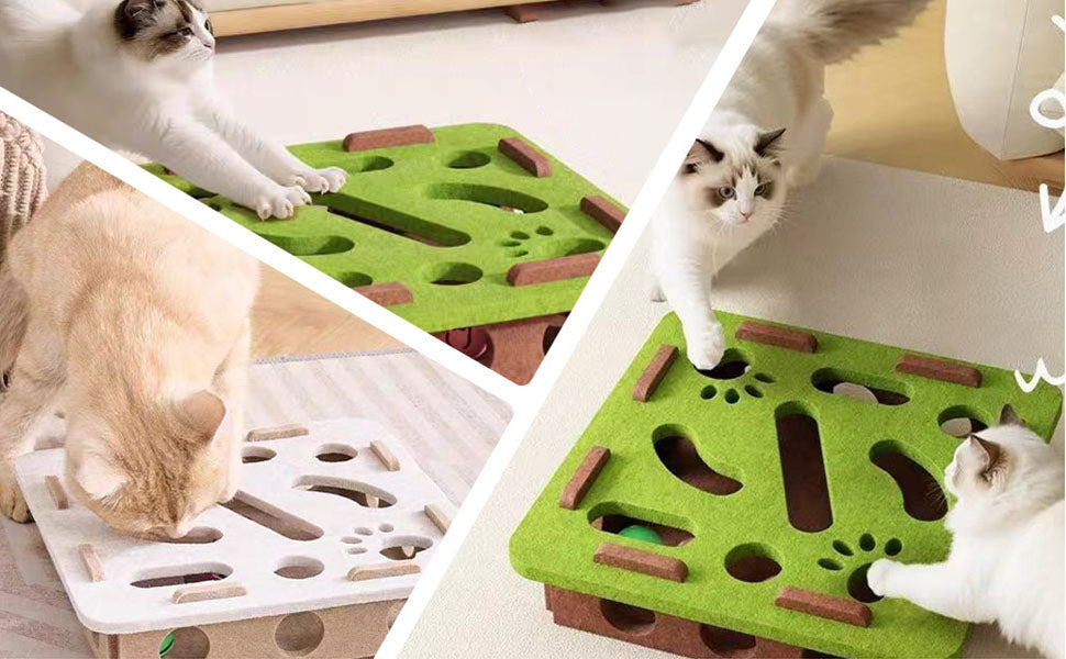 Interactive Puzzle and Enrichment Box - Cat - (While Supplies Last)