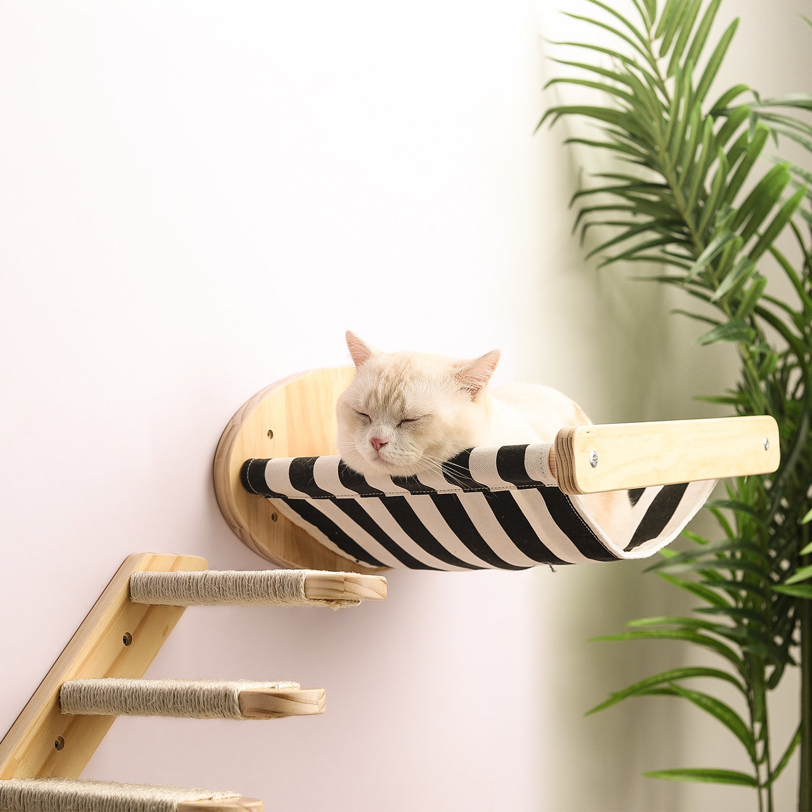 Wall Mounted Wood Hammock Bed and Shelves - Cat